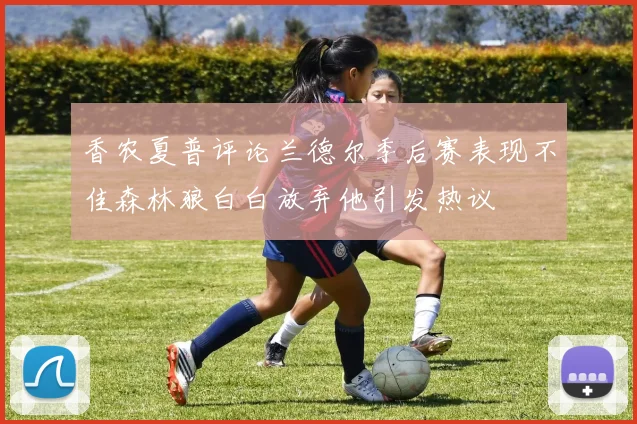 香农夏普评论兰德尔季后赛表现不佳森林狼白白放弃他引发热议