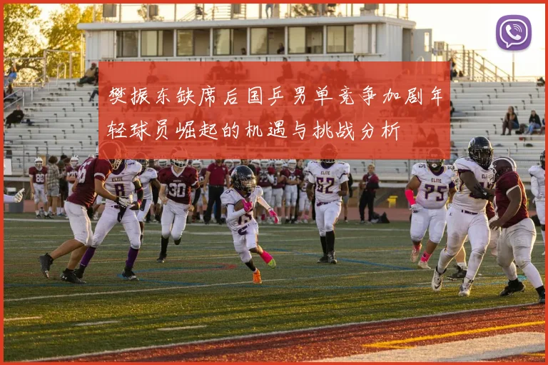 樊振东缺席后国乒男单竞争加剧年轻球员崛起的机遇与挑战分析